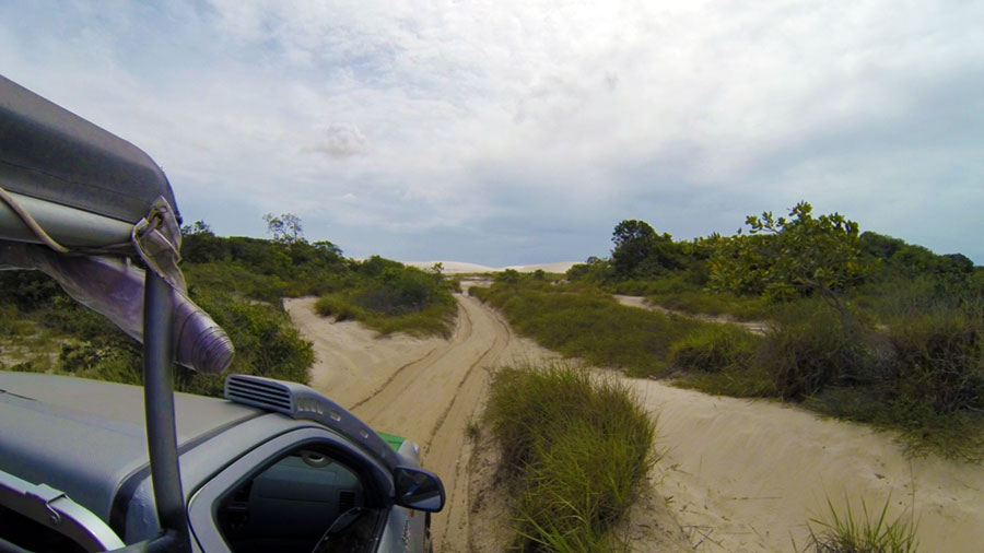 dunes-on-the-horizon