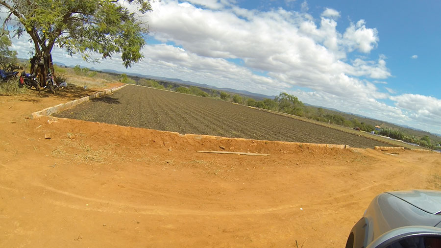 coffee-drying